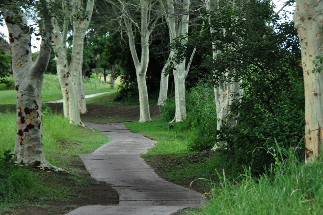 Kruger Park Lodge Unit No. 610B เฮซีวิว ภายนอก รูปภาพ