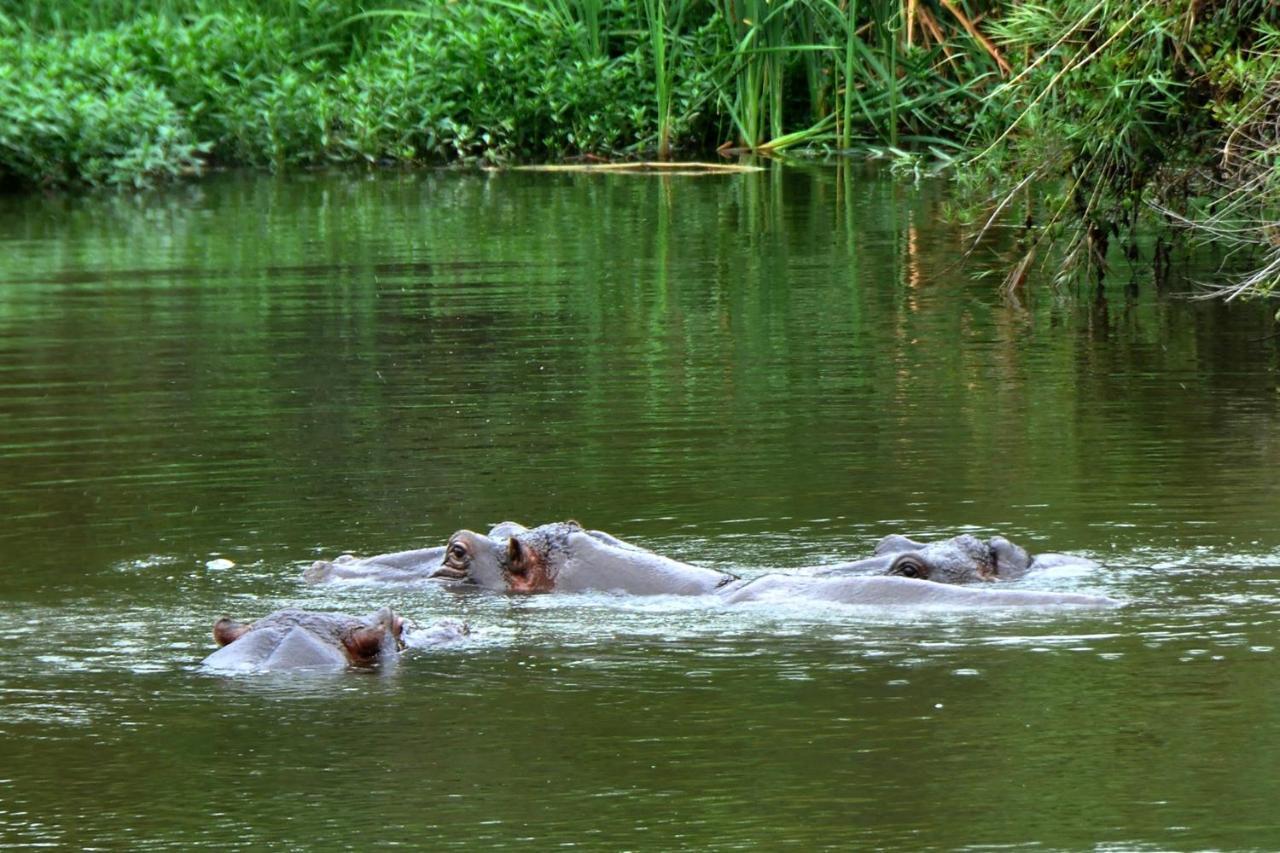 Kruger Park Lodge Unit No. 610B เฮซีวิว ภายนอก รูปภาพ